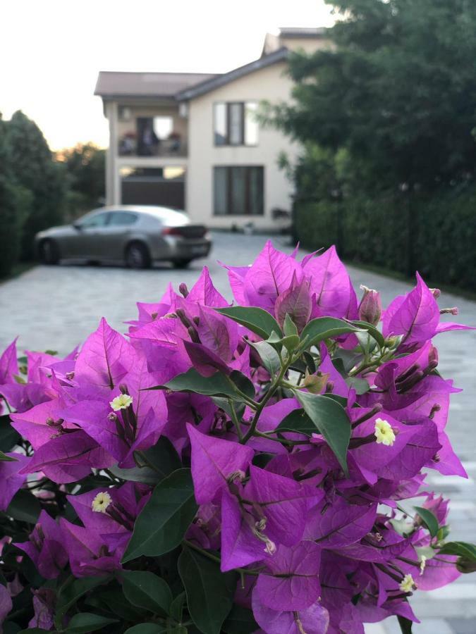 Eden Blue Hotel Costinesti Bagian luar foto