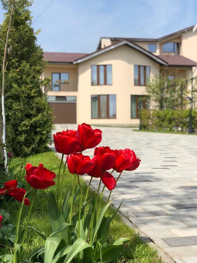 Eden Blue Hotel Costinesti Bagian luar foto